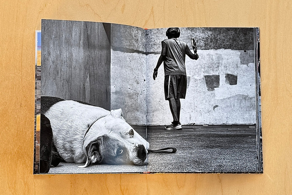 Page from Dogtown: The Pups of Venice Beach and Their Humans by Dotan Saguy.