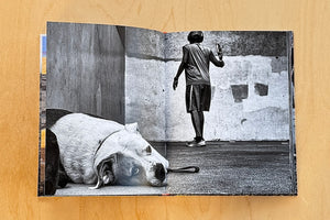 Page from Dogtown: The Pups of Venice Beach and Their Humans by Dotan Saguy.