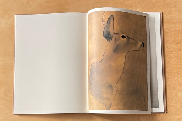 Watercolor from Deer by Mats Gustafson.