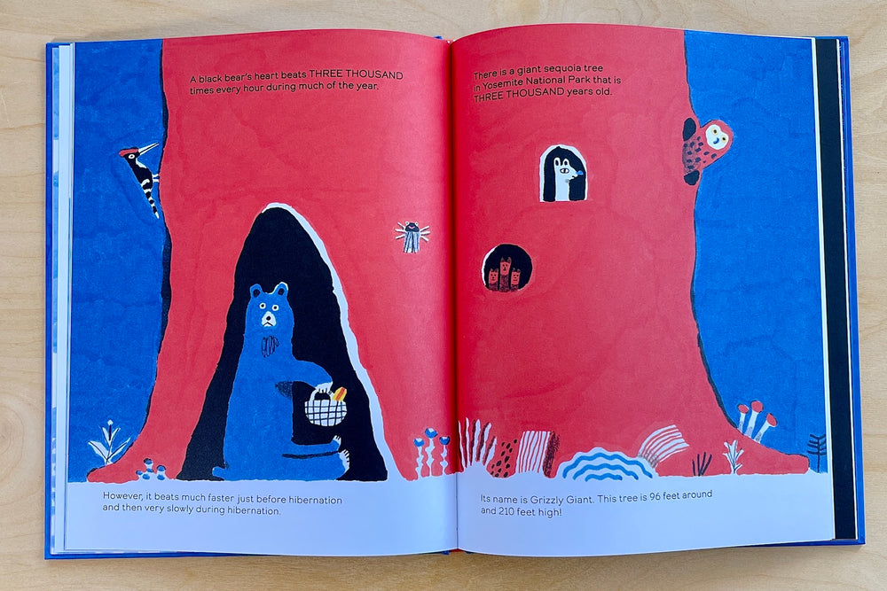 Illustration form Octopuses have Zero Bones by Anne Richardson with illustrations by Andrea Antinori.