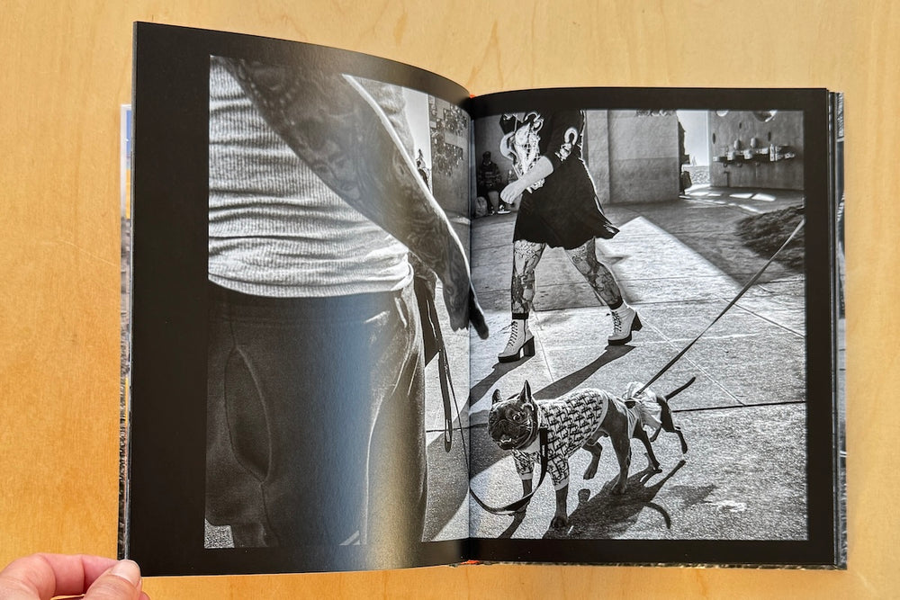 Page from Dogtown: The Pups of Venice Beach and Their Humans by Dotan Saguy.