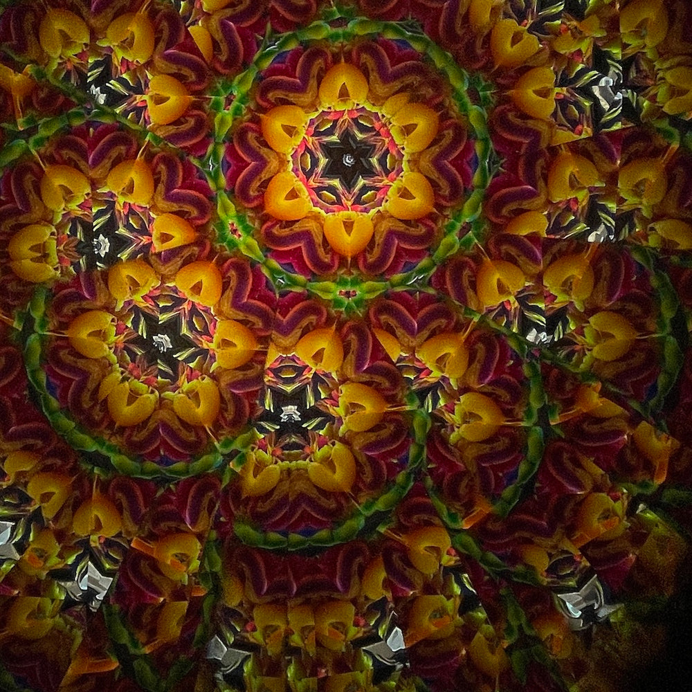 Kaleidoscope image.