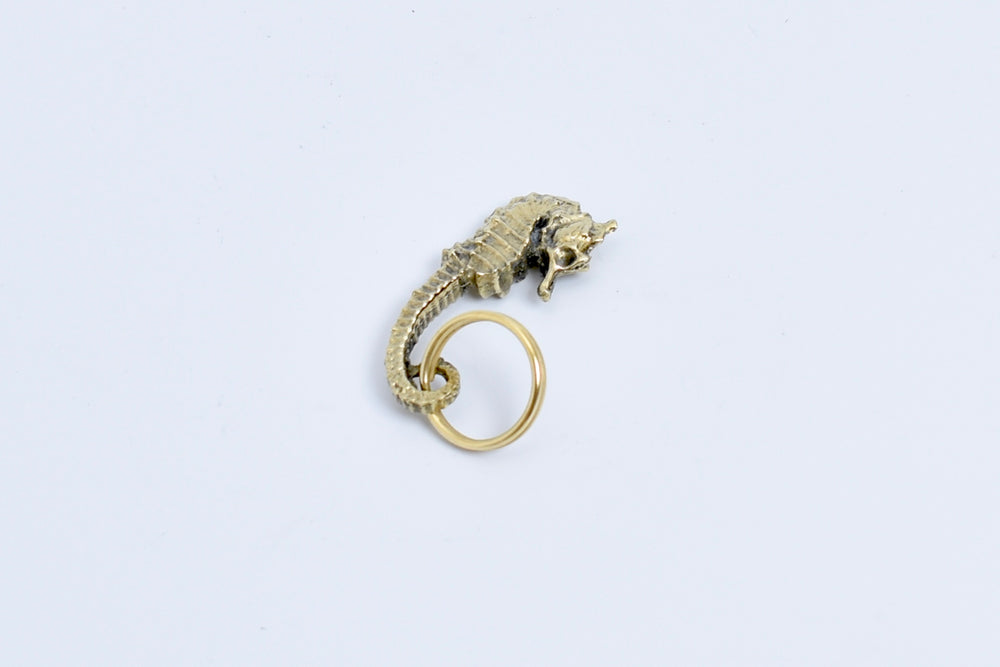 5655 Polished Brass keyring key ring in seahorse by Werkstaette Carl Aubock.