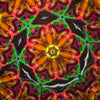 Kaleidoscope image.