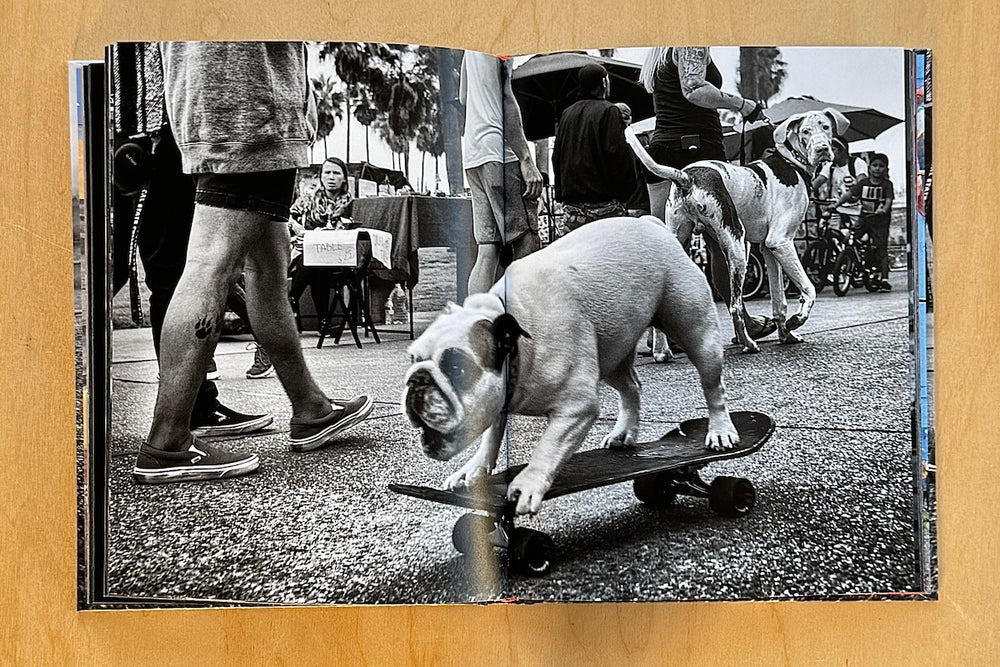 Page from Dogtown: The Pups of Venice Beach and Their Humans by Dotan Saguy.