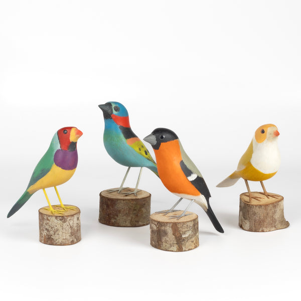 A selection of colorful, decorative, wood birds from Brazil.