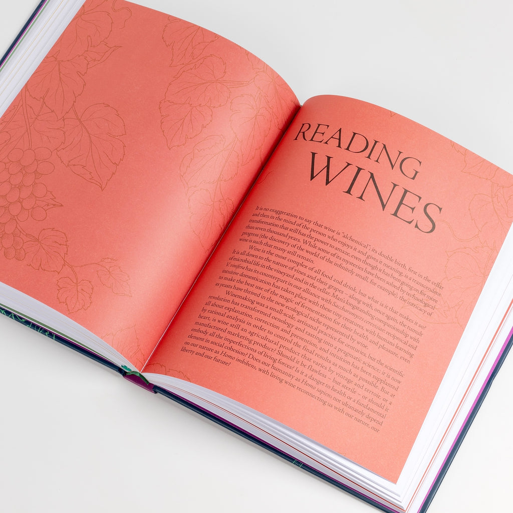 Page from One Thousand Vines: A New Way to Understand Wines by Pascaline Lepeltier.
