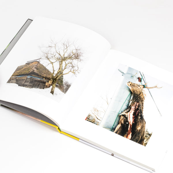 Image from Otari: Pristine Peaks from photographer Keiko Nomura.