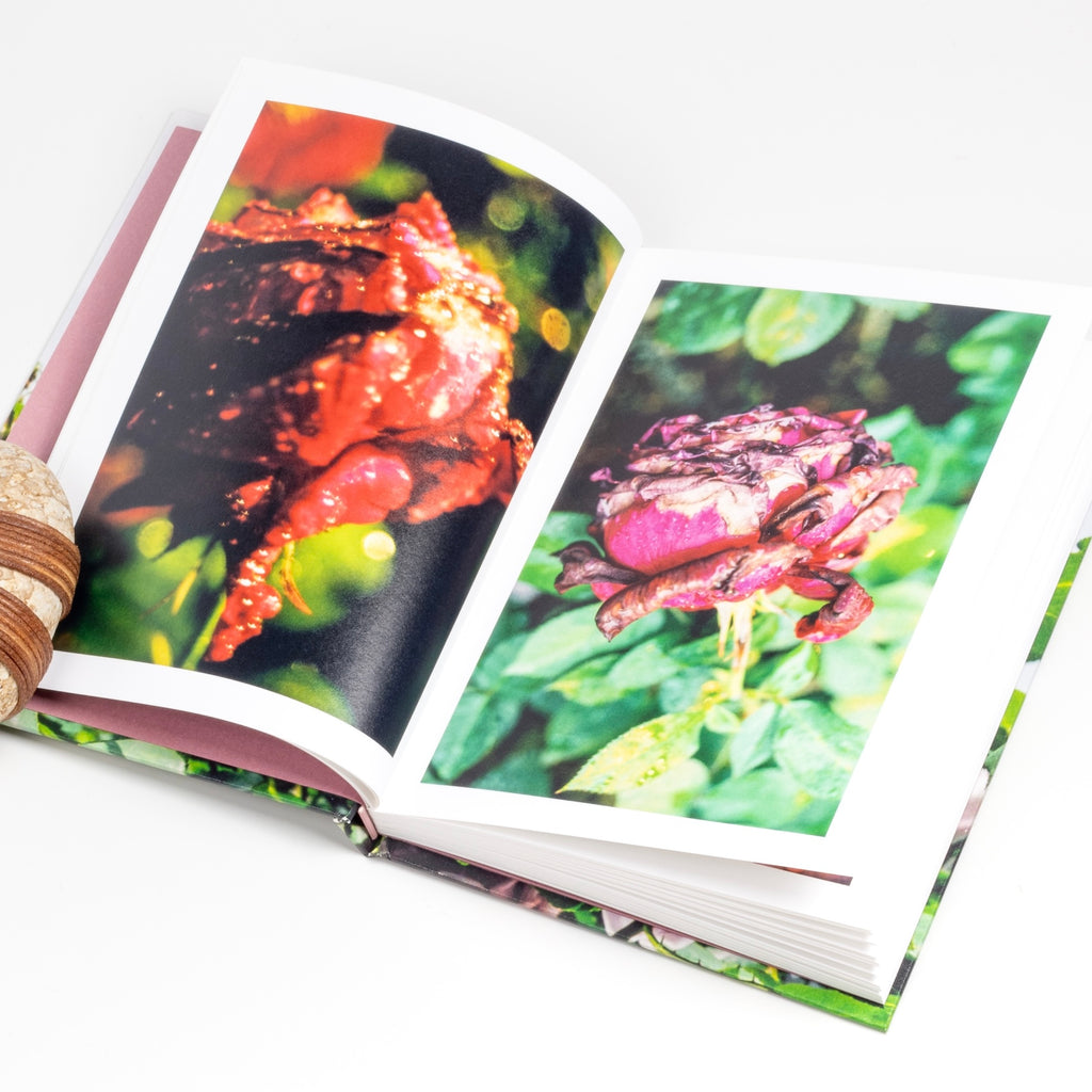 Image from Naked Rose book by Miyako Ishiuchi published by Super Labo.