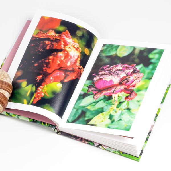 Image from Naked Rose book by Miyako Ishiuchi published by Super Labo.