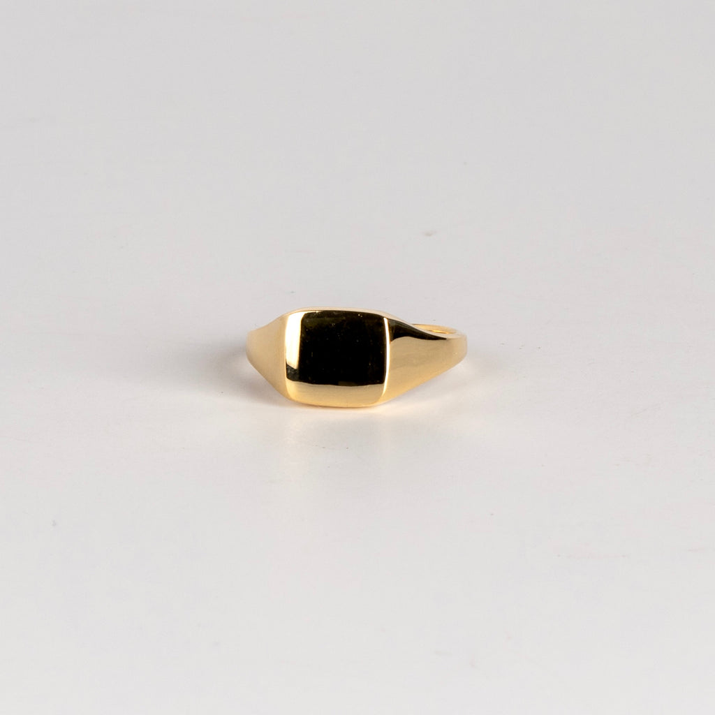 Horizontal Rectangle Reflection Signet by Makiko Wakita in size 6.