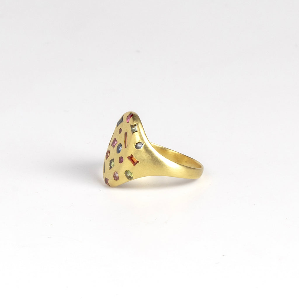 One more of Rainbow Harlequin Confetti Classic Signet ring by Polly Wales. 