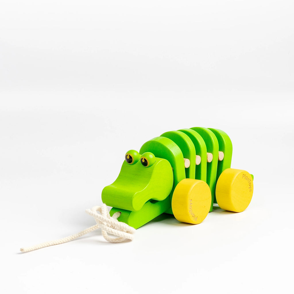 Dancing Alligator pull toy.