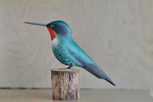 The hummingbird from Brazil is green with a red collar and a long spiky beak.