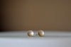 Carla Caruso 14k yellow gold matte satin Polka Dot Stud Studs Earrings in small.