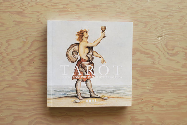 Uusi Notes from the Pagan Otherworlds Tarot Cards Book