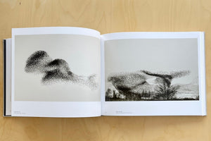 Bird migrations from Black Sun by Søren Solkær.