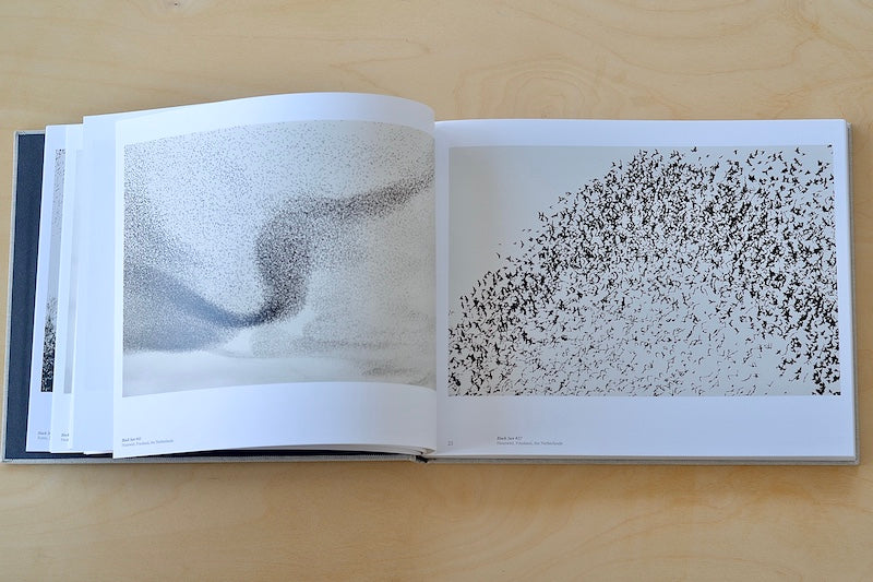 Birds from Black Sun by Søren Solkær.