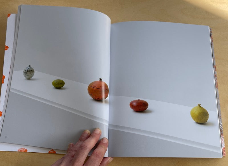 Weed Pots by Doyle Lane from  the exhibition catalogue from David Kordansky Gallery curated by Ricky Swallow in 2020.