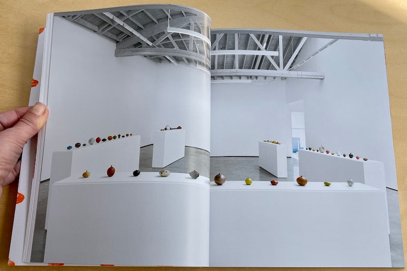 Weed Pots by Doyle Lane from  the exhibition catalogue from David Kordansky Gallery curated by Ricky Swallow in 2020.