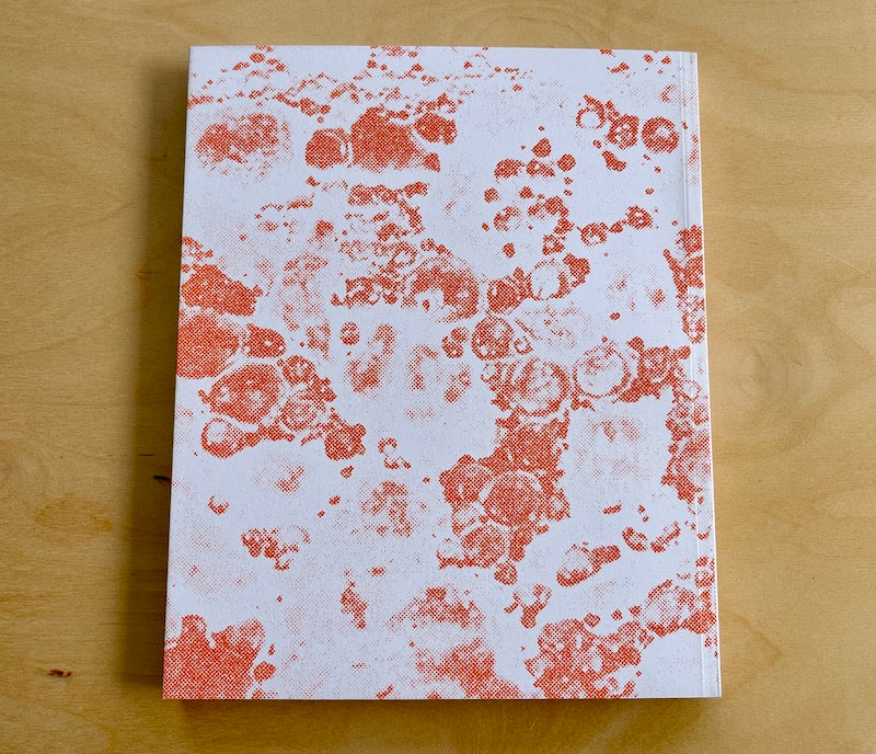 Back of  Weed Pots Doyle Lane catalogue.